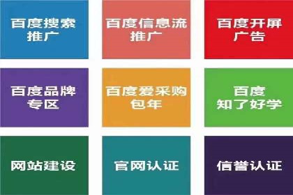 信息流广告的投放策略与效果监测：某零售商的成功经验